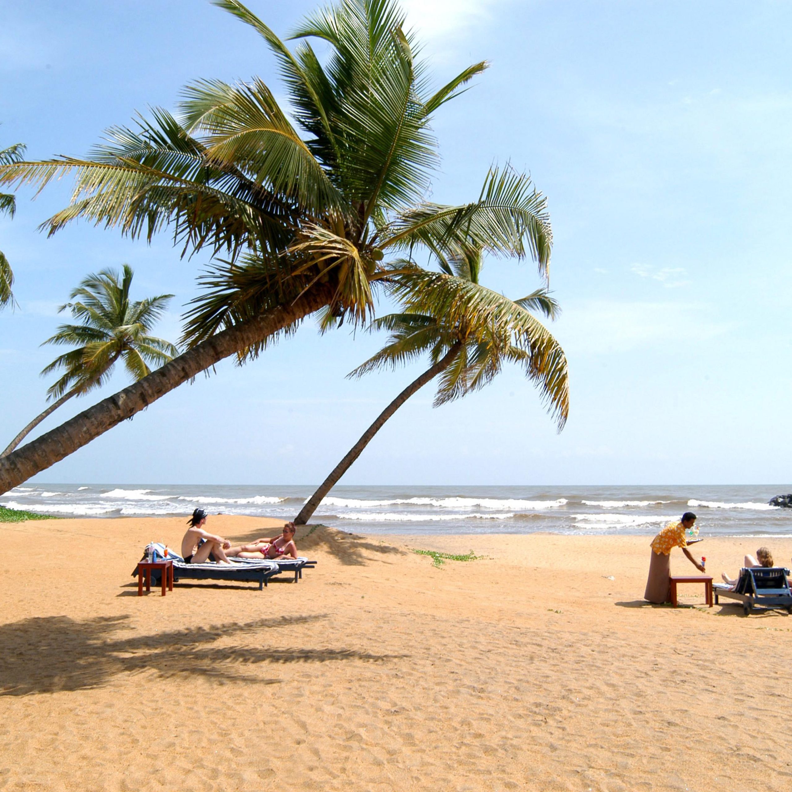 Travel Scenic Lanka