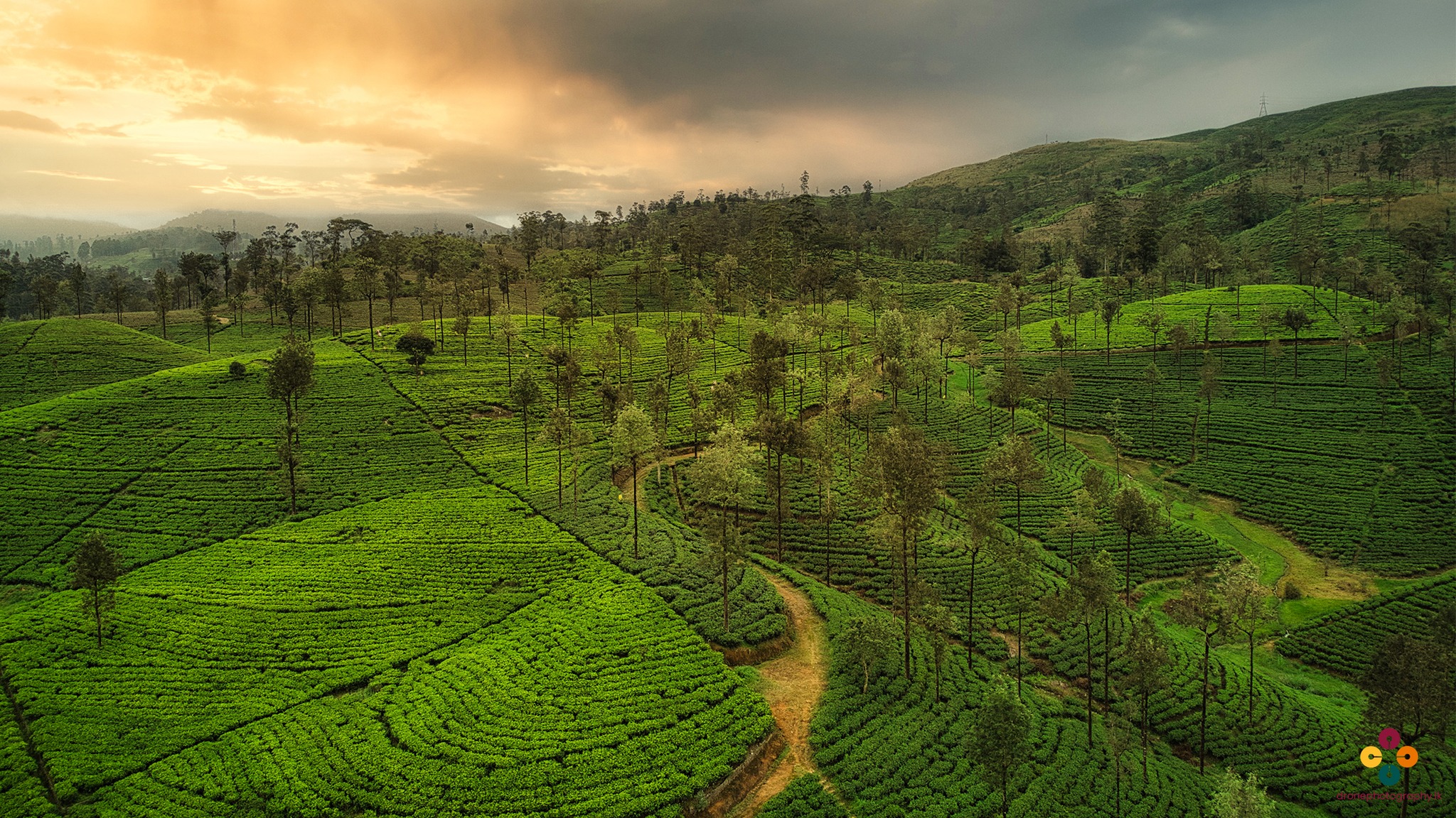 Travel Scenic Lanka
