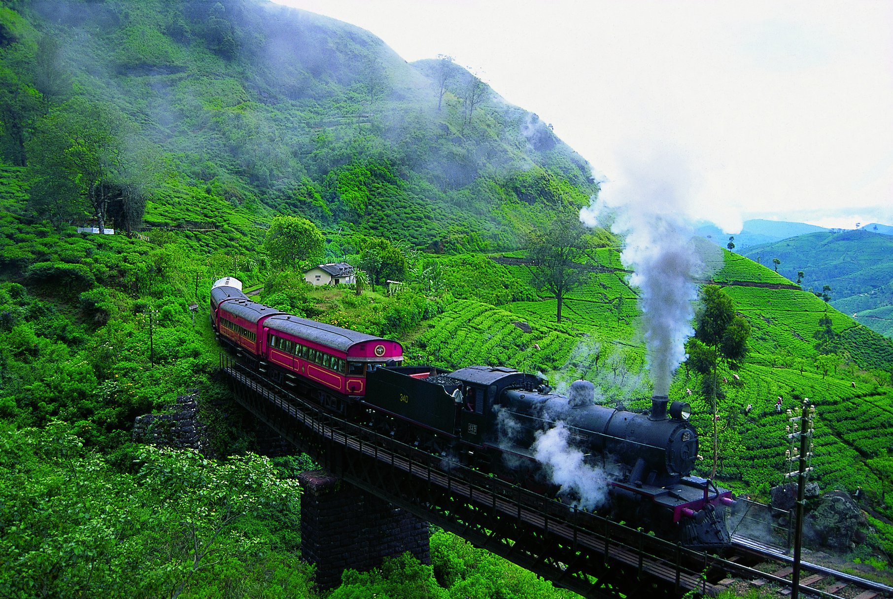 Travel Scenic Lanka