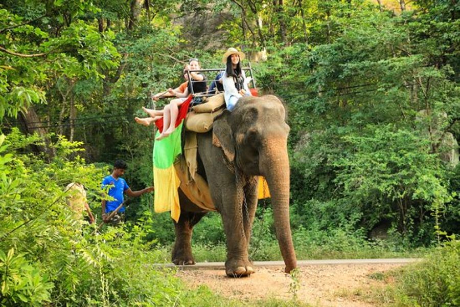 Elephant Ride
