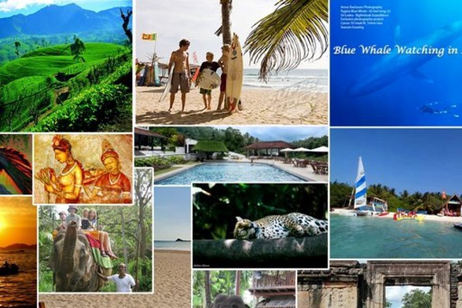 Tailor-made Tours