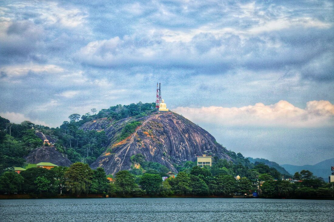 Wayaba